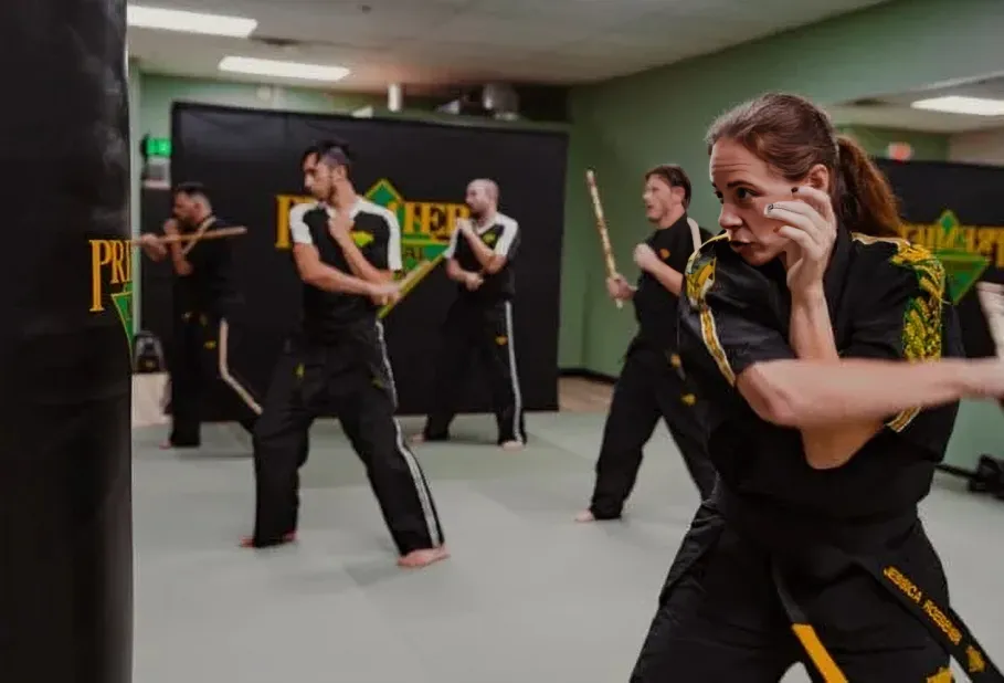 Adults at Premier Martial Arts Riverton